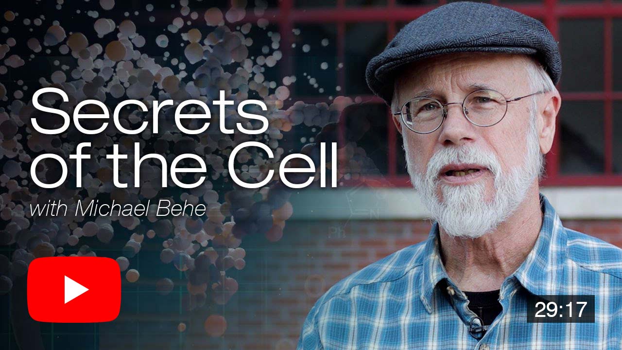 Secrets of the Cell with Michael Behe